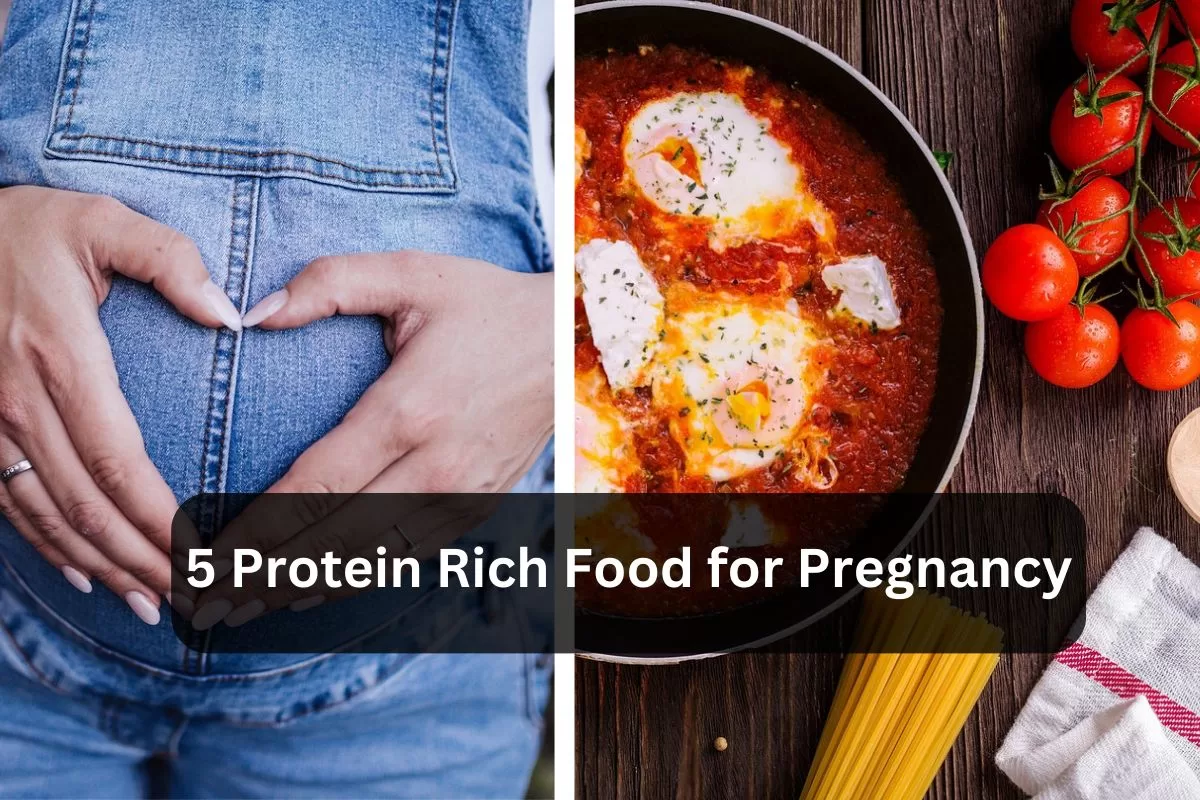 5 protein rich food for pregnancy