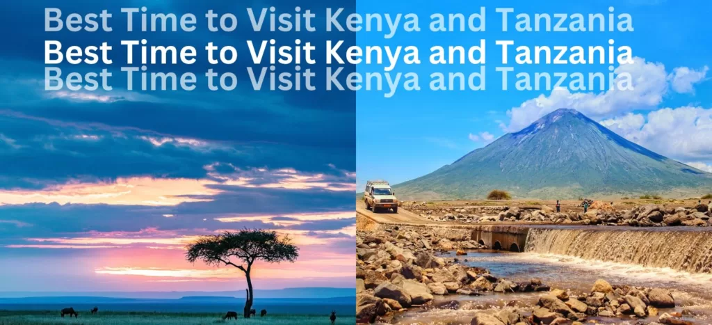 Best Time to Visit Kenya and Tanzania